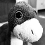 Paul Gierz's avatar